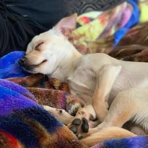 Meet your Posher, Brett